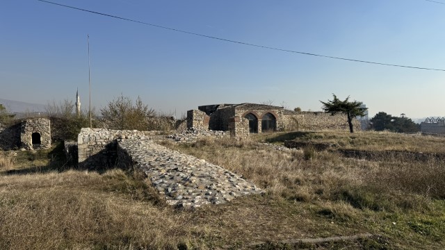 IMG 8769