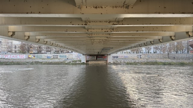 IMG 8946
