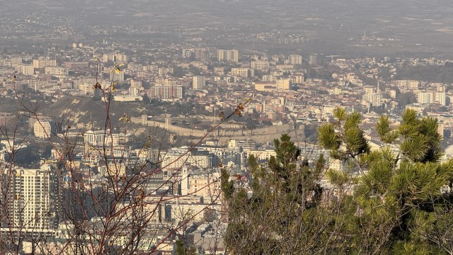 IMG 9281