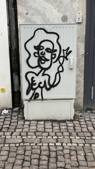 IMG 9557