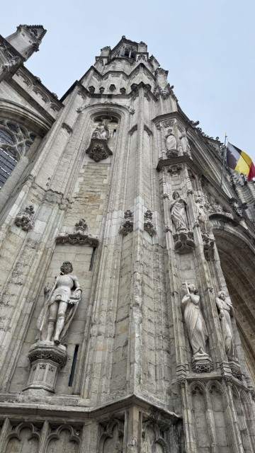 IMG 9703