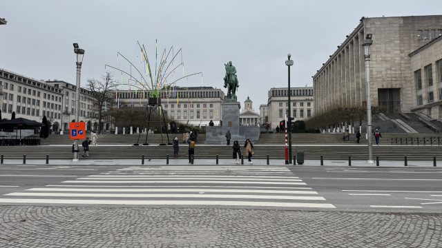 IMG 9860