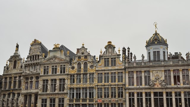 IMG 9941