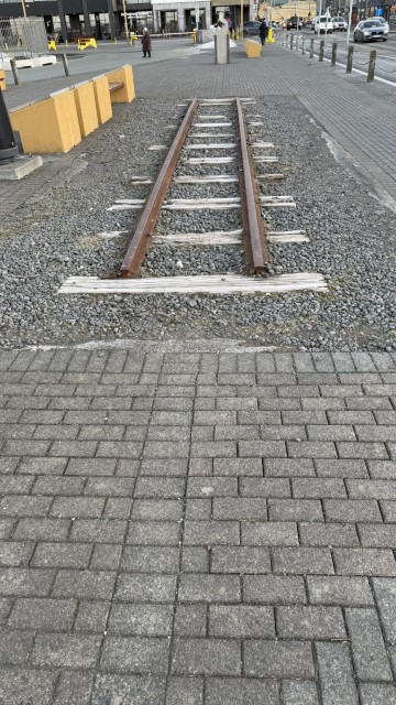 IMG 0370