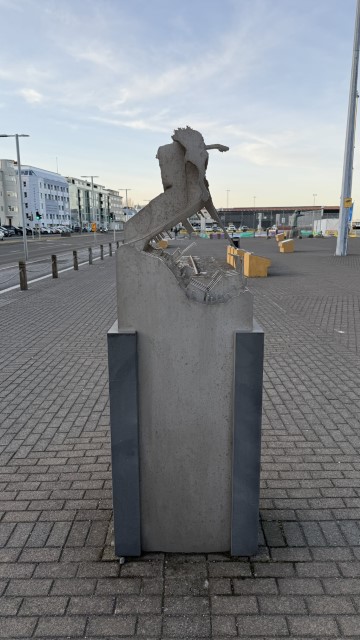 IMG 0372