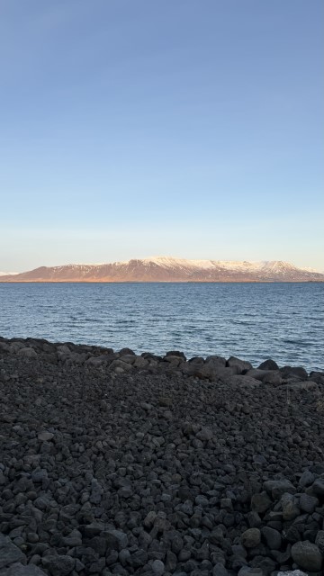 IMG 0378