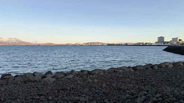 IMG 0380