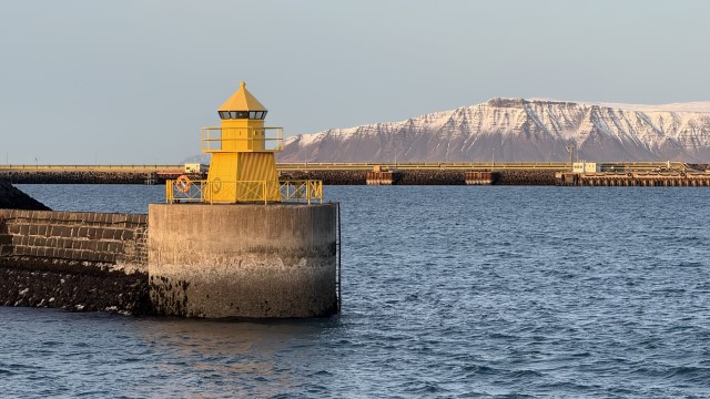 IMG 0385