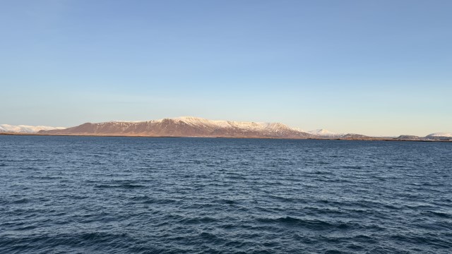 IMG 0388