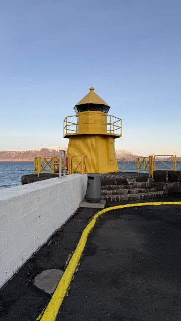 IMG 0390
