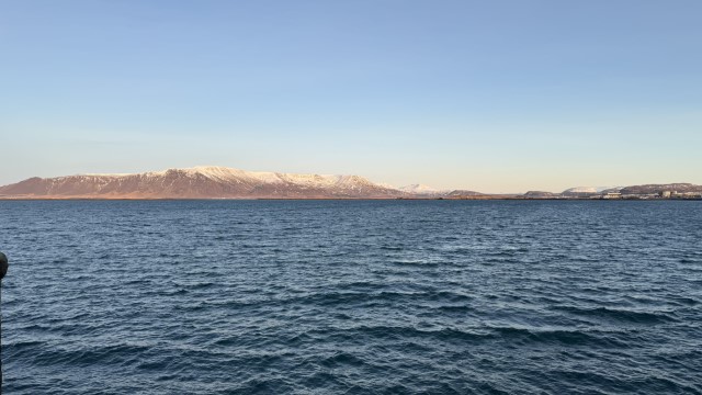 IMG 0391