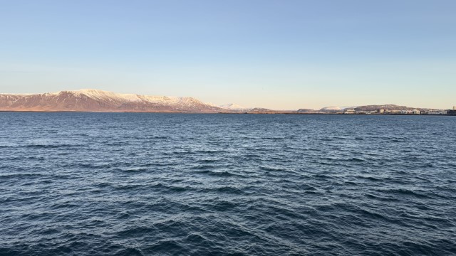IMG 0395