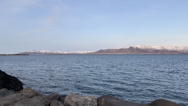 IMG 0401