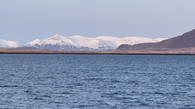 IMG 0403