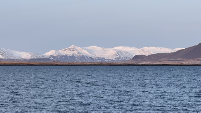 IMG 0410