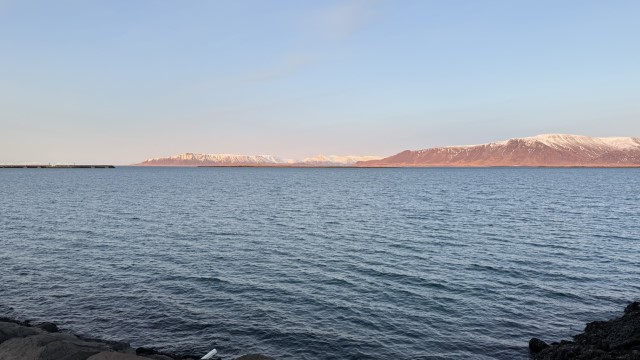 IMG 0412