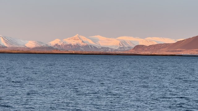 IMG 0413