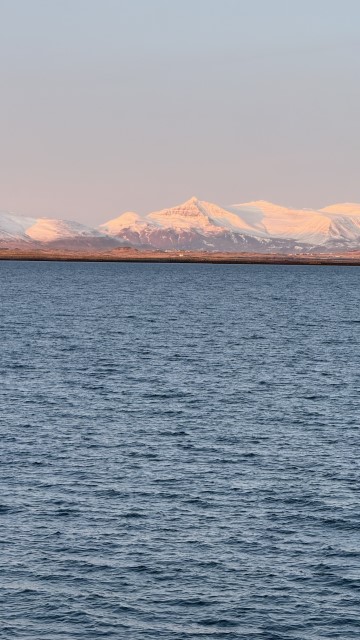 IMG 0415