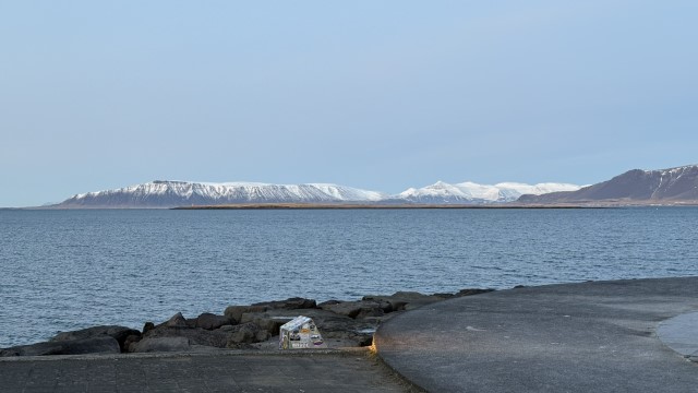 IMG 0418