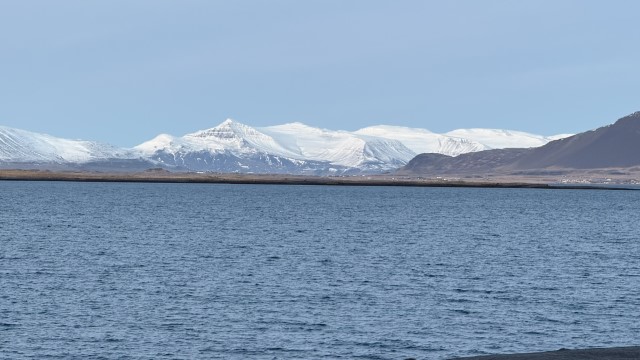 IMG 0419