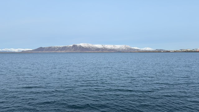 IMG 0420