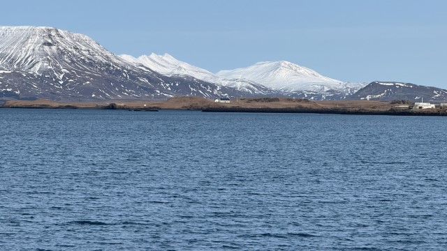 IMG 0421