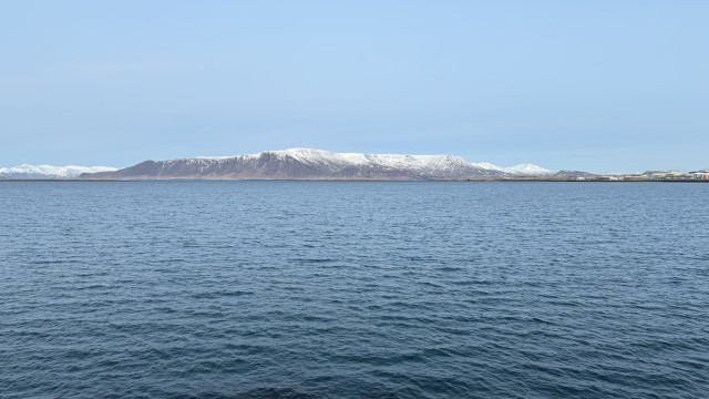 IMG 0423