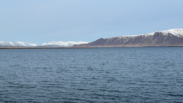 IMG 0424