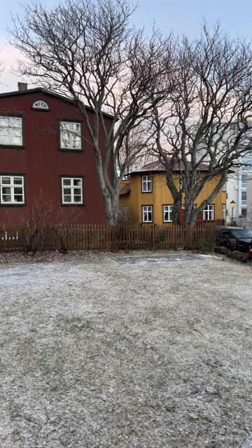 IMG 0653