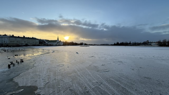 IMG 0673