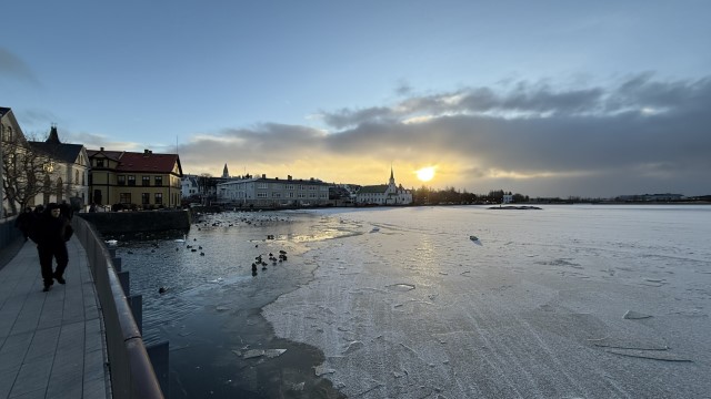 IMG 0674