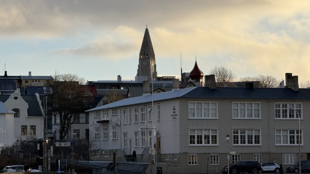 IMG 0679