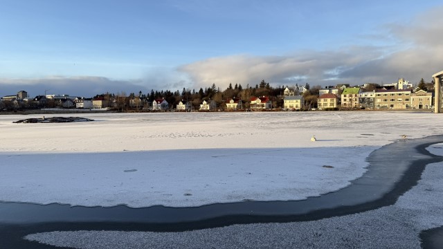 IMG 0682
