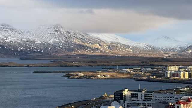 IMG 0704