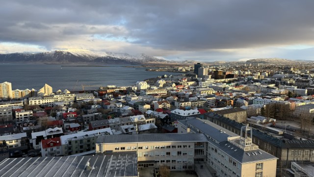 IMG 0736