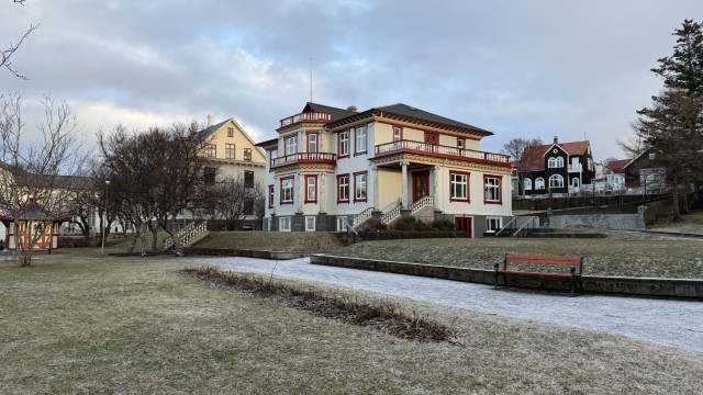 IMG 0782