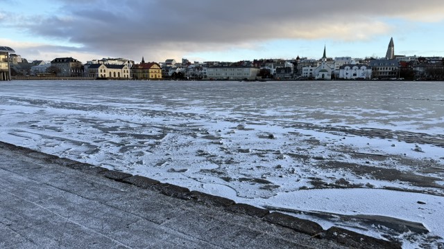 IMG 0837