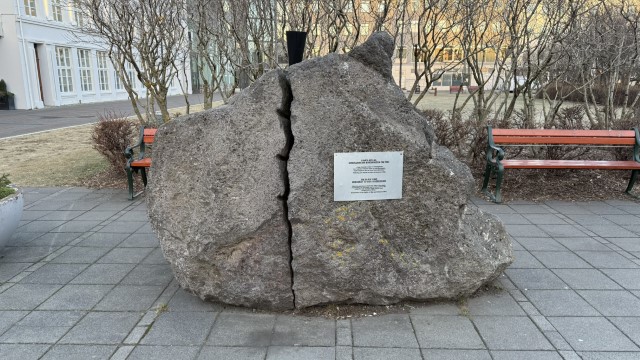 IMG 0871