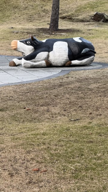 IMG 0921