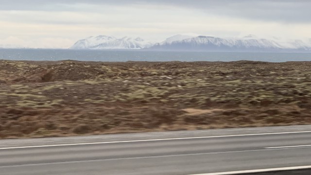 IMG 9688