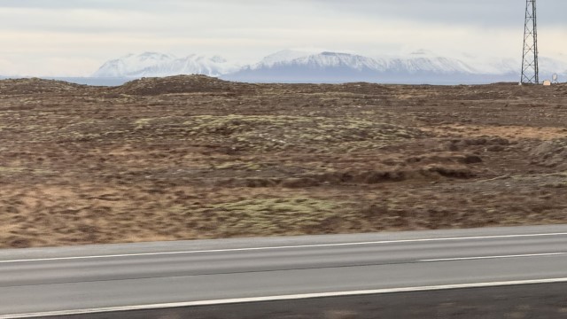IMG 9689