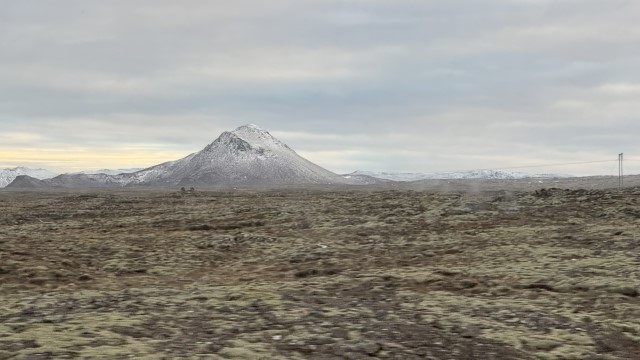IMG 9691