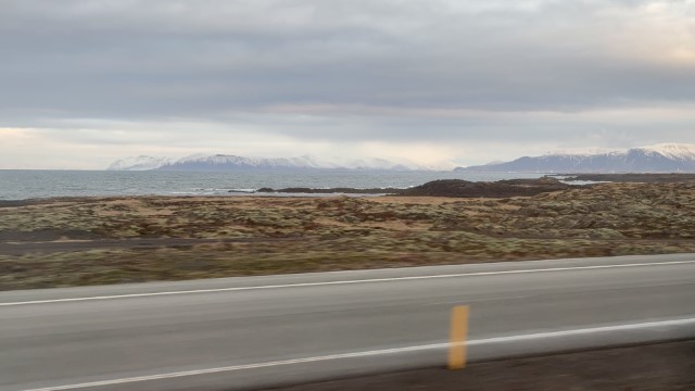 IMG 9694