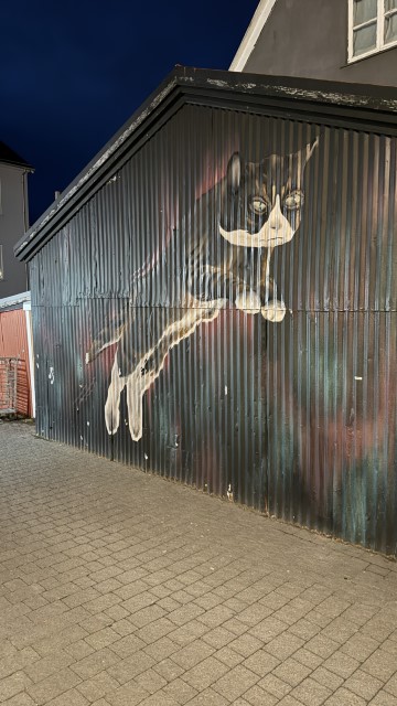 IMG 9771