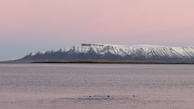 IMG 9839