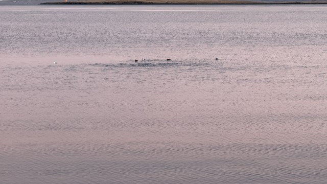 IMG 9840