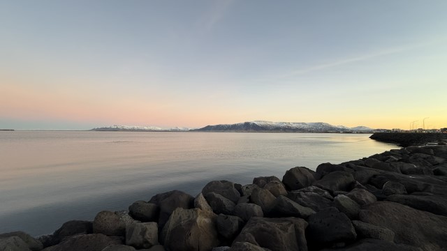 IMG 9841