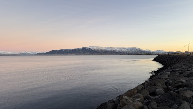 IMG 9847