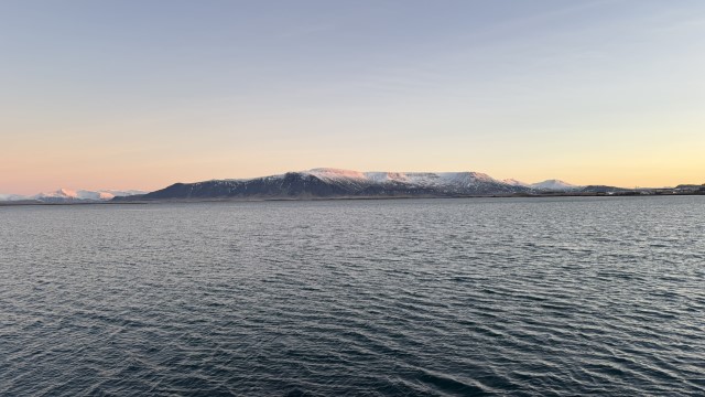 IMG 9863