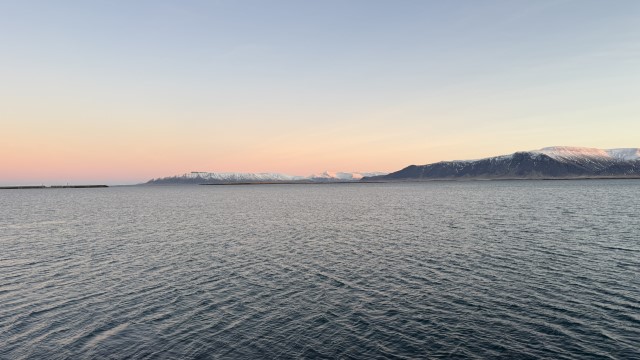 IMG 9864